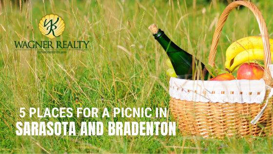 Picnic in Bradenton